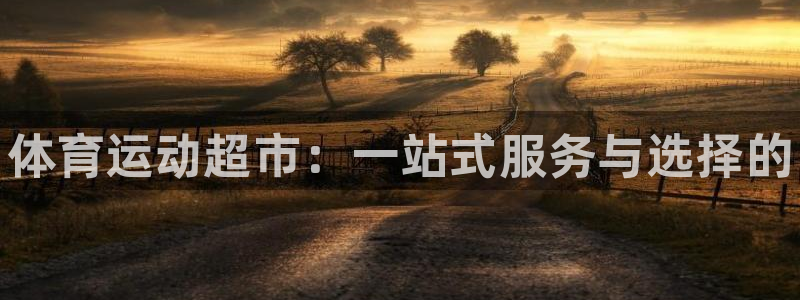 米兰体育官方正版app娱乐首页官网下载：体育运动超市
