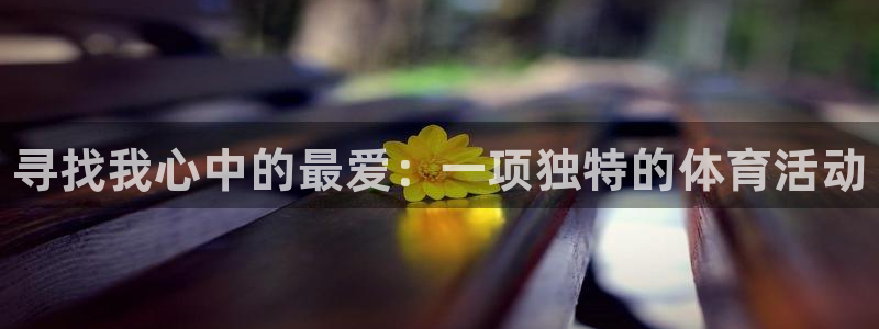 米兰体育官方正版app娱乐首页网站大全：寻找我心中的