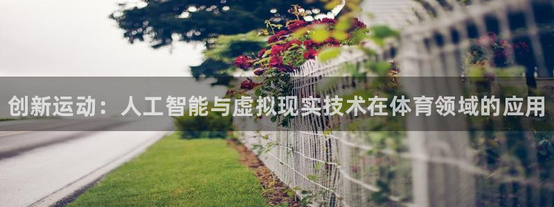 米兰体育官网下载是干嘛的公司：创新运动：人工智能与虚