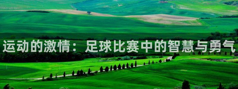 米兰体育官方平台体育：运动的激情：足球比赛中的智慧与