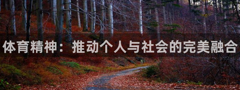 德国米兰体育官方正版app集团：体育精神：推动个人与