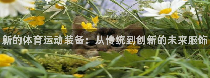 米兰体育官方正版app娱乐下载：新的体育运动装备：从