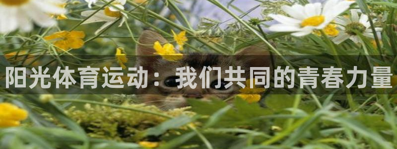 米兰体育官网下载平台是正规平台吗安全吗：阳光体育运动