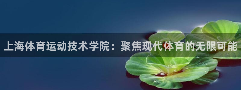 米兰体育官方正版app五金厂：上海体育运动技术学院：