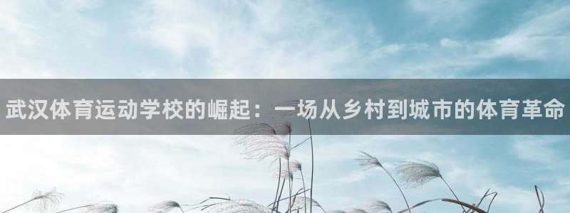 米兰体育官方正版app娱乐40996：武汉体育运动学