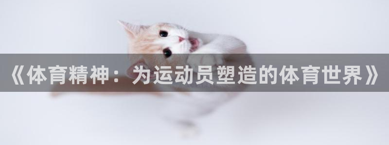 米兰体育官网下载平台注册要钱吗：《体育精神：为运动员塑造的体