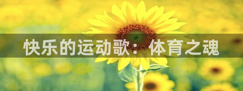 米兰体育官网下载招商电话号码查询：快乐的运动歌：体育之魂