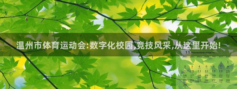 米兰体育官方正版app集团官网网址