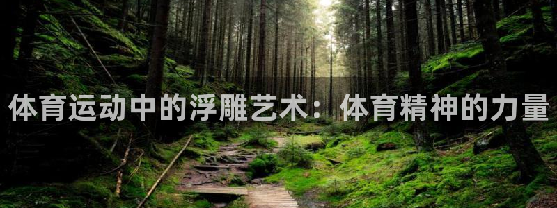 米兰体育官方正版app集团简介：体育运动中的浮雕艺术：体育精