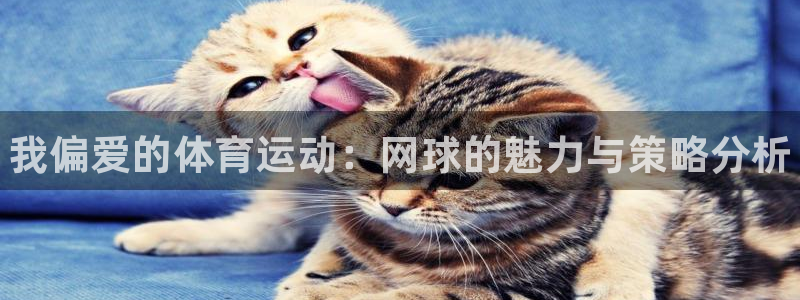 米兰体育官网下载招商电话是多少啊