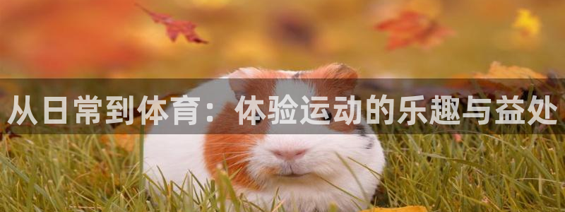 海南米兰体育官网下载发展怎么样