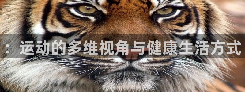 米兰体育官网下载软件：：运动的多维视角与健康生活方式