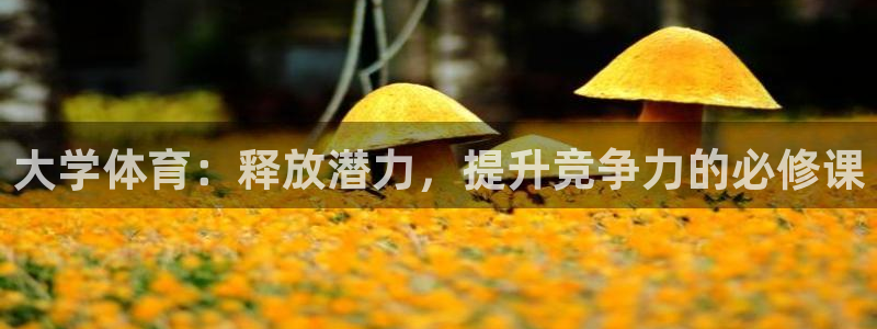 米兰体育官网下载招商电话号码：大学体育：释放潜力，提