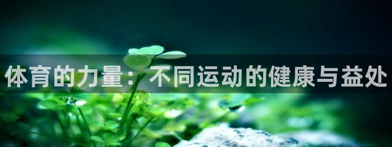 米兰体育官方正版app集团官网首页：体育的力量：不同