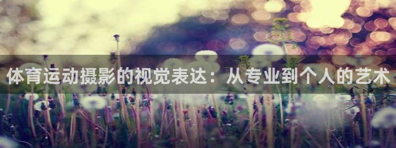 米兰体育官方正版app集团简介：体育运动摄影的视觉表