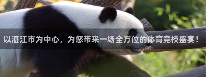 米兰体育官方正版app集团官网网址：以湛江市为中心，