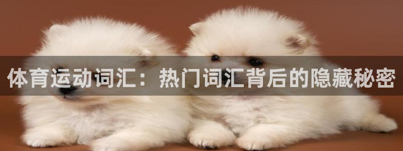 米兰体育官网下载注册：体育运动词汇：热门词汇背后的隐