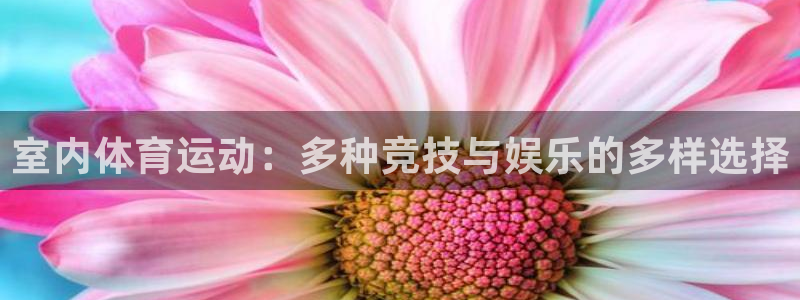 米兰体育官网下载平台是正规平台吗知乎：室内体育运动：多种竞技
