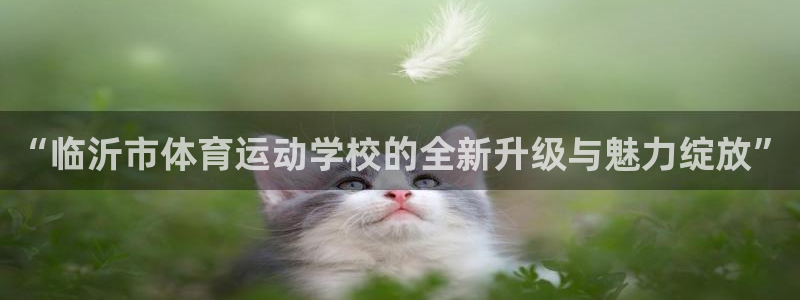 米兰体育官网下载招商电话是多少号码：“临沂市体育运动学校的全