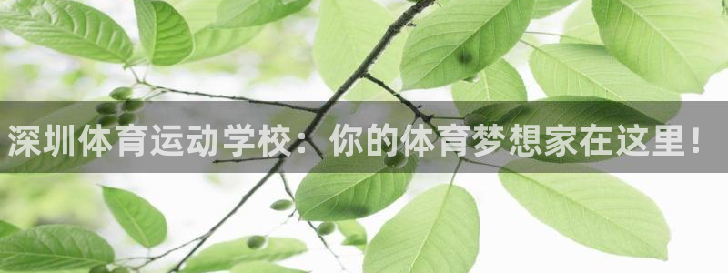 米兰体育官方正版app开户：深圳体育运动学校：你的体育梦想家