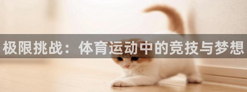 米兰体育官网下载平台注册流程视频：极限挑战：体育运动中的竞技