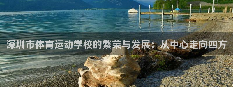 米兰体育官方正版app官方：深圳市体育运动学校的繁荣与发展：