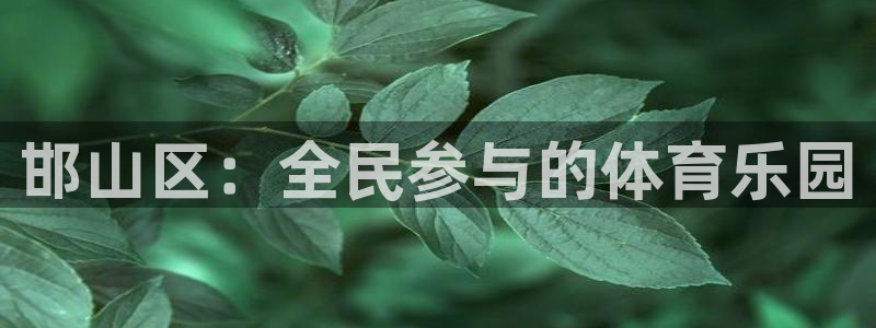 米兰体育报意大利首发阵容