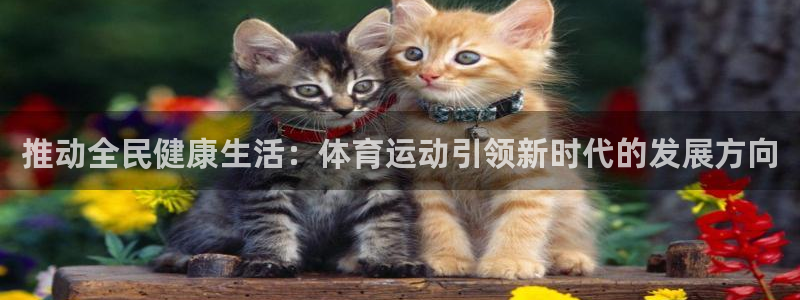 米兰体育milan官网下载