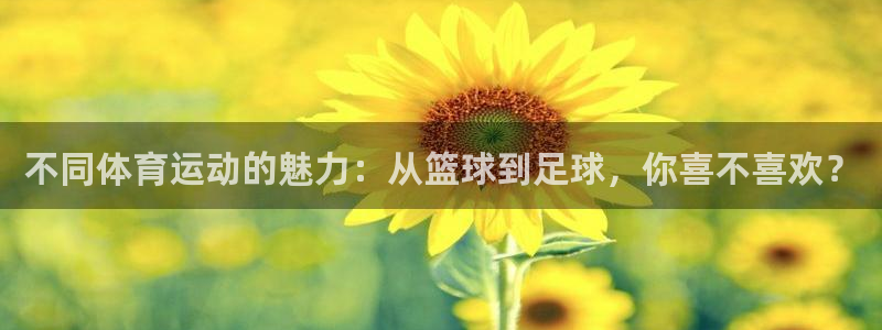  米兰体育犯法吗：不同体育运动的魅力：从篮球到足球，你喜不喜欢