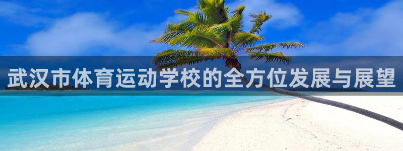 米兰体育登陆：武汉市体育运动学校的全方位发展与展望