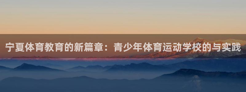 米兰体育发布网址是多少：宁夏体育教育的新篇章：青少年体育运动