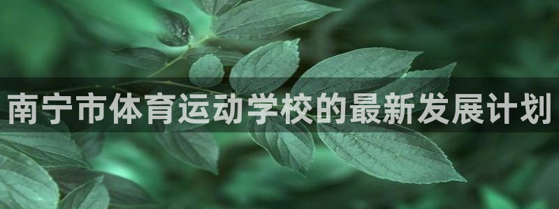 米兰体育官网在线下载安装：南宁市体育运动学校的最新发展计划